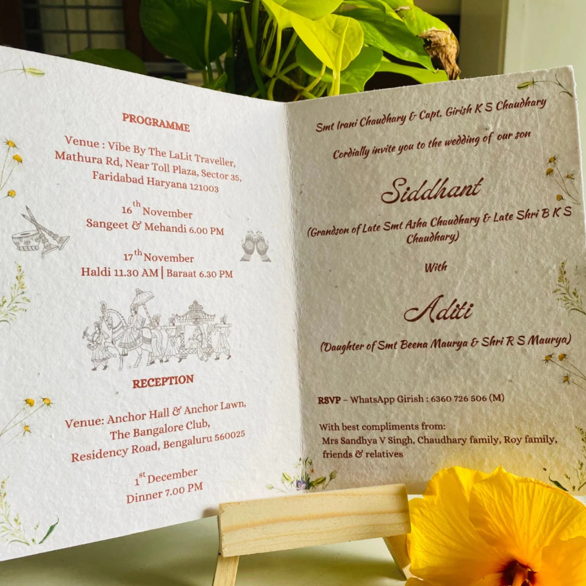 Untitled design - 2025-10-30T004654.135 Untitled design 2025 10 30T004654.135