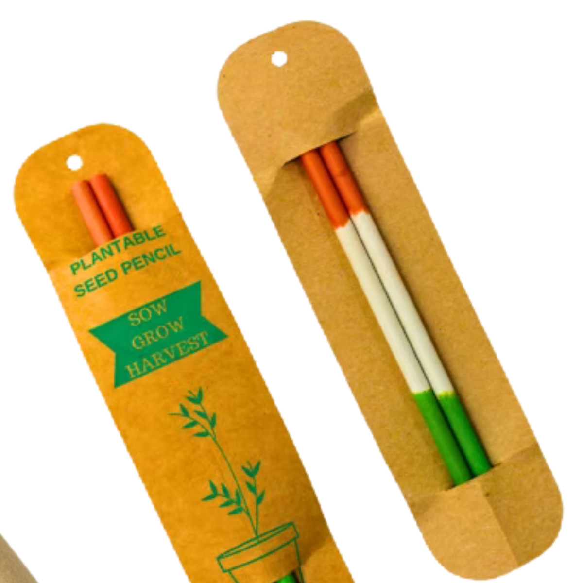 Untitled design - 2025-10-30T005952.233 Untitled design 2025 10 30T005952.233