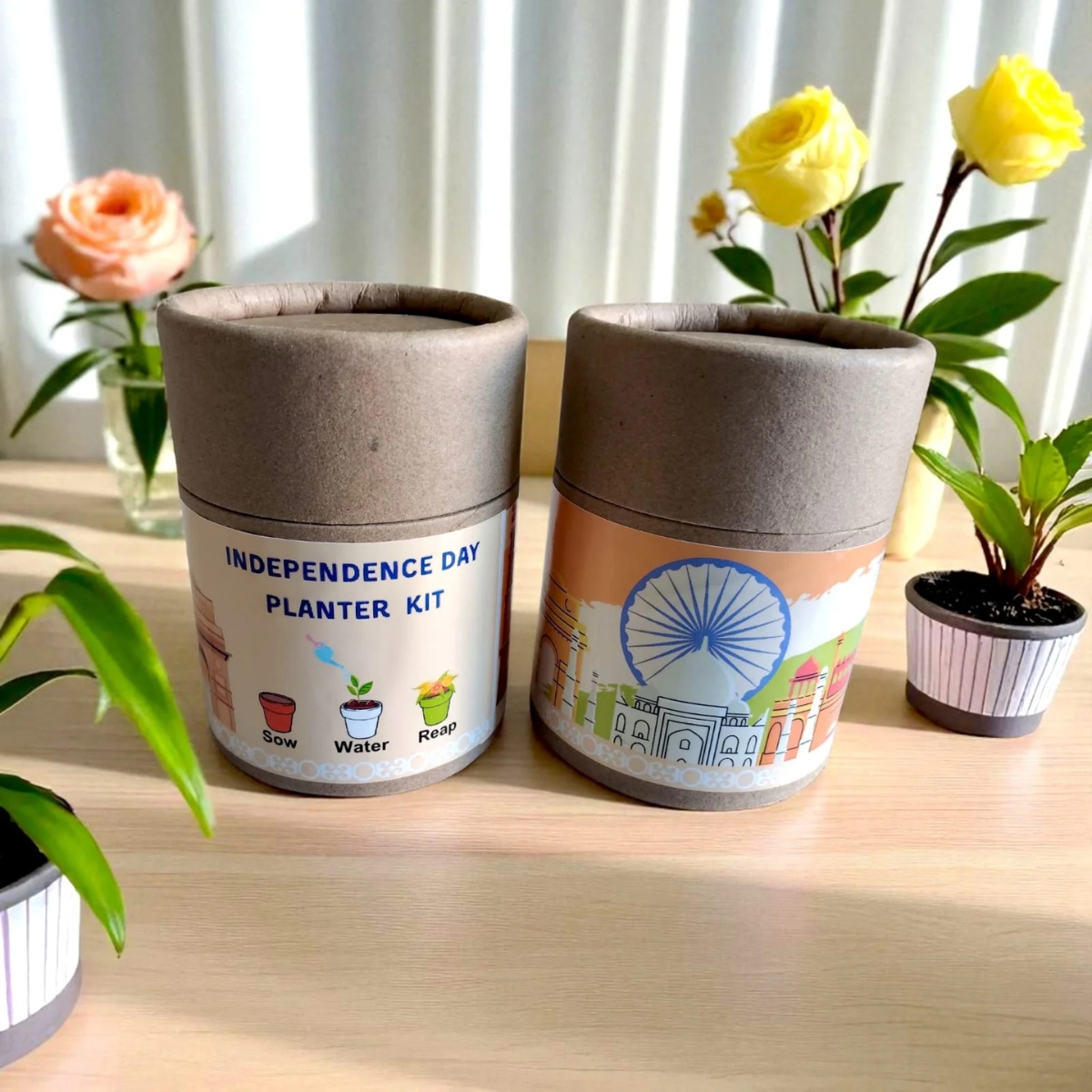 Untitled design (76) Untitled design 76