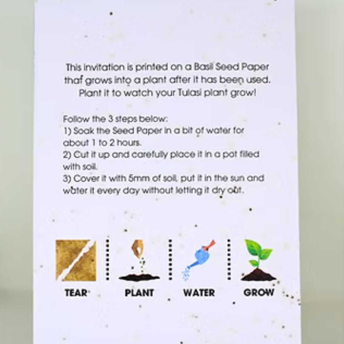 Untitled design (72) Untitled design 72